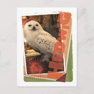 Carte Postale Hedwig 1