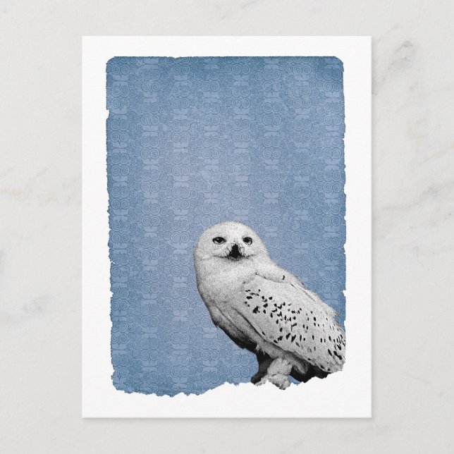 Carte Postale Hedwig 2 (Devant)