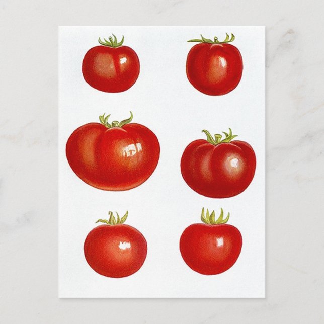 Carte postale Heirloom Garden Tomates Farmers Mark (Devant)