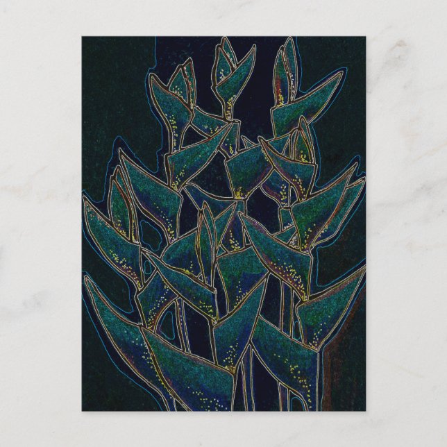Carte Postale Heliconia Rostrata Fleurs tropicales Noir floral (Devant)