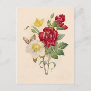 Carte Postale Hellebores et oeillets de Pierre-Joseph Redouté