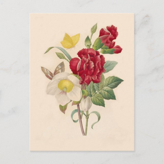 Carte Postale Hellebores et oeillets de Pierre-Joseph Redouté (Devant)