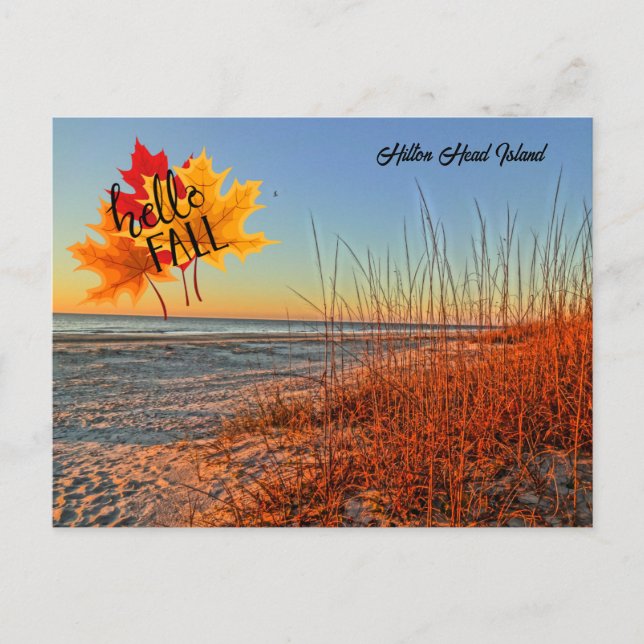 Carte Postale Hello Fall Hilton Head Island Beach Caroline du Su (Devant)