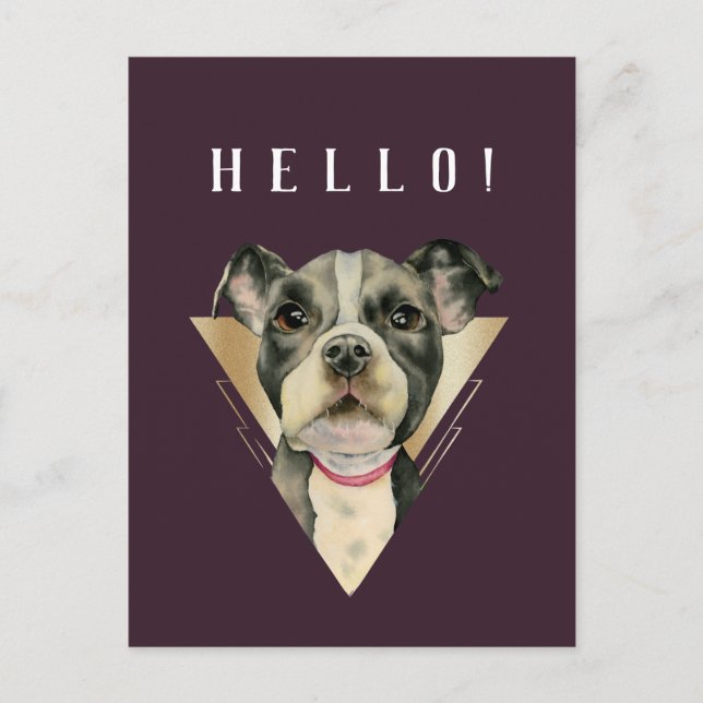 Carte Postale HELLO violet or Pitbull Puppy Aquarelle (Devant)