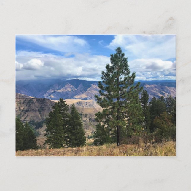 Carte Postale Hells Canyon Pittoresque Byway, OU (Devant)
