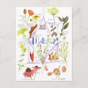 Carte Postale Herbe médicinale Echinacea Garlic Poppy