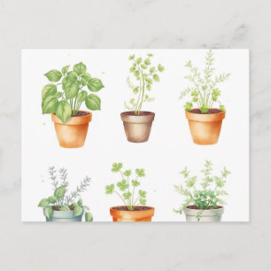 Carte Postale Herbes en pot à l'aquarelle sur fond crème