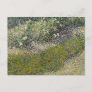Carte Postale Herbes et papillons par Vincent van Gogh