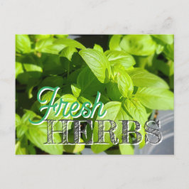 Carte Postale HERBS FRAIS Jardin Basil Recette Canning