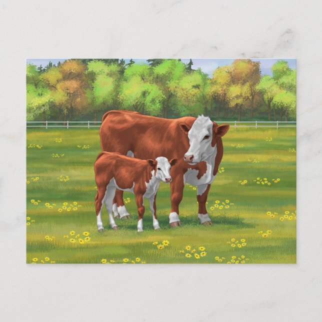 Carte Postale Hereford Cow & Cute Calf dans les pâturages d'été (Devant)