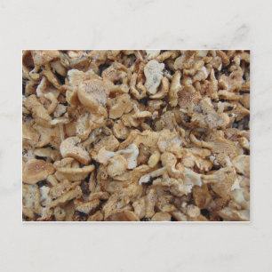 Carte Postale Hérisson