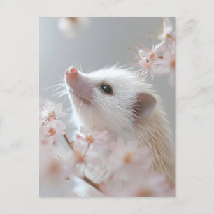 Carte Postale Hérisson adorable parmi les fleurs du printemps