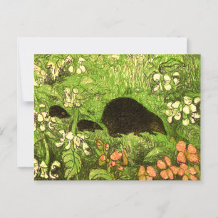 Carte Postale Hérisson et bébé de style Art nouveau néerlandais