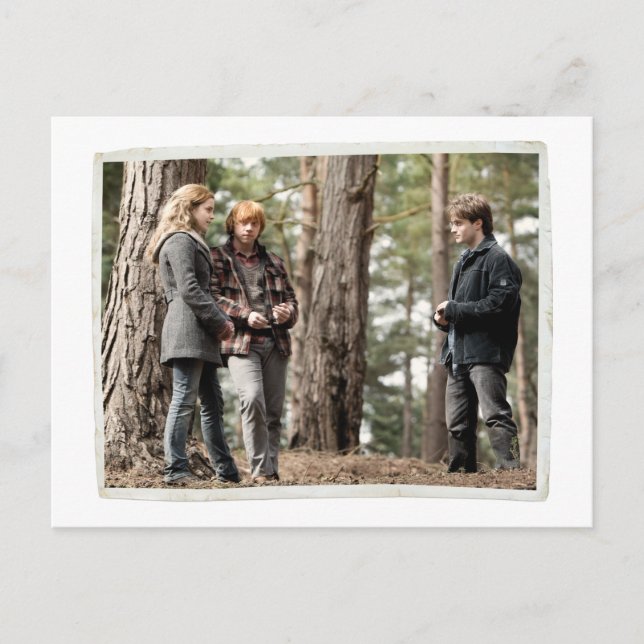 Carte Postale Hermione, Ron et Harry 2 (Devant)