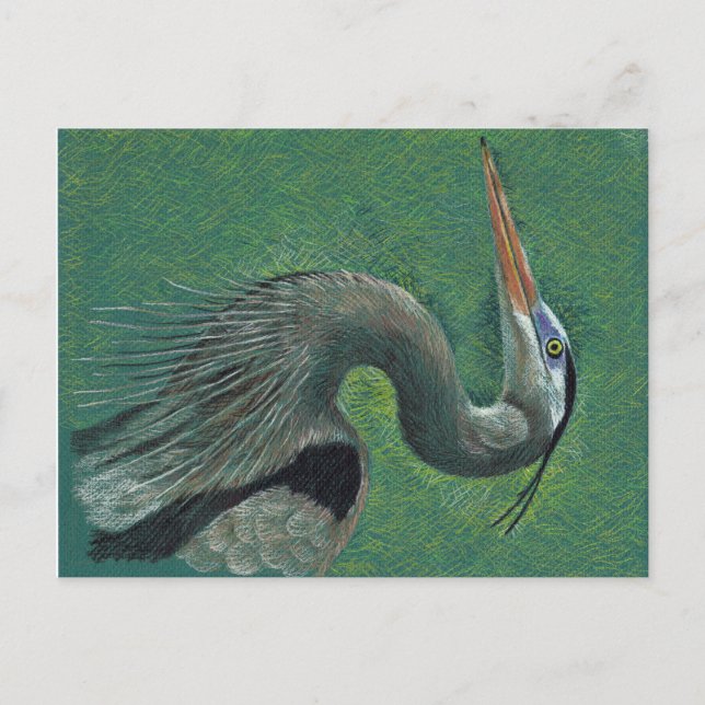 Carte Postale Heron (Devant)