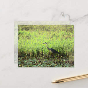 Carte Postale Heron 6449