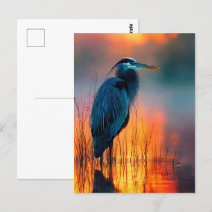 Carte Postale Héron bleu à Sunrise