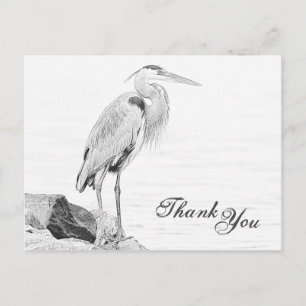 Carte Postale Héron bleu et rochers, Merci de croquis d'oiseaux 