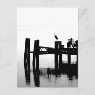 Carte Postale Héron bleu sur la Journée Grey