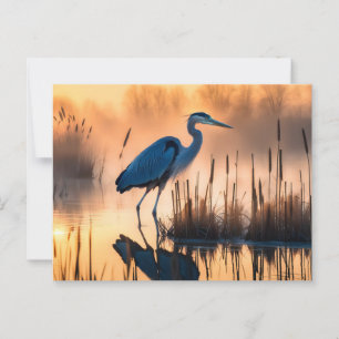 Carte Postale Héron dans un marais brumeux au lever du soleil