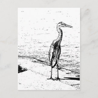 Carte Postale Héron en encre