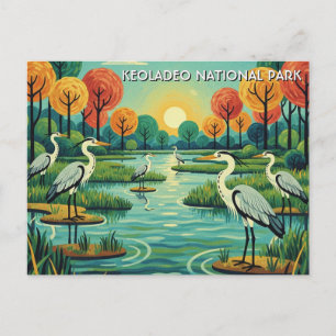 Carte Postale Hérons dans le parc national de Keoladeo, voyage e