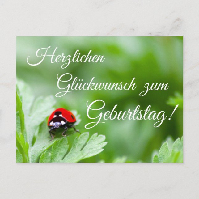 Carte Postale Herzlichen Glückwunsch zum Geburtstag ! (Devant)