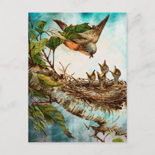 CARTE POSTALE HEURE D'ALIMENTATION