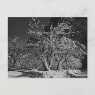 Carte Postale Heure de la nuit d'hiver