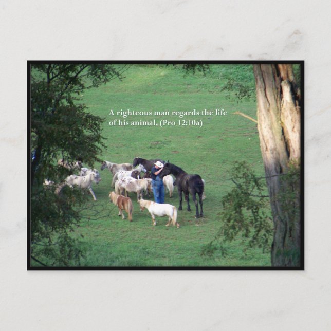 Carte Postale Heure de modification (Devant)