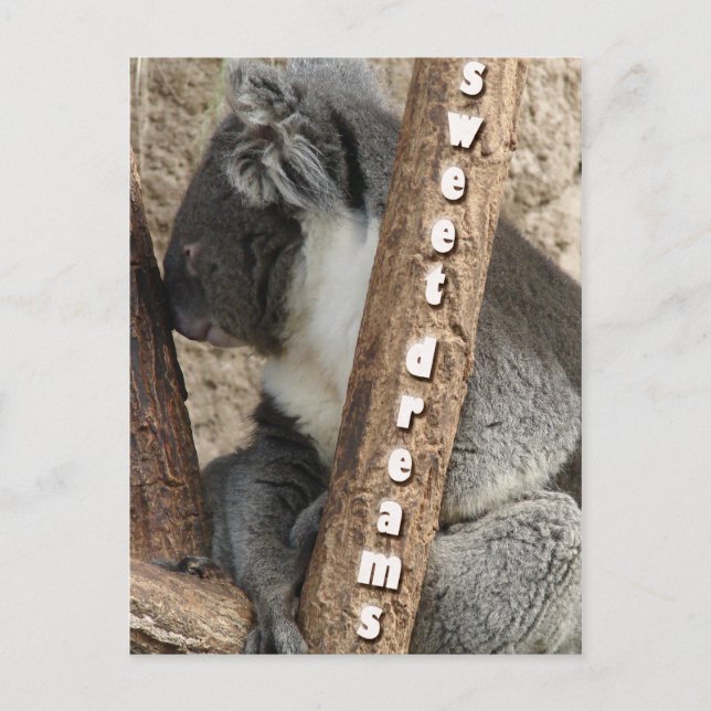 Carte Postale Heure du saut (Devant)