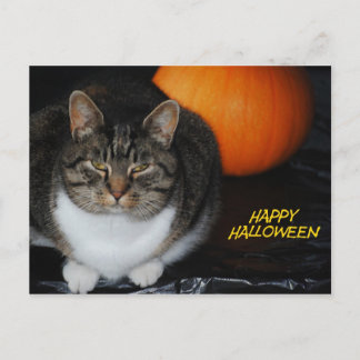 Carte postale heureuse de Halloween de chat et de