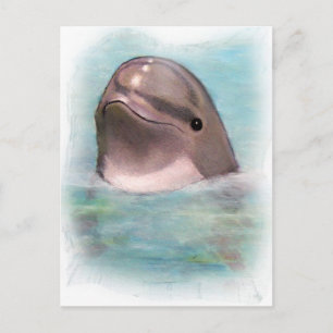CARTE POSTALE HEUREUX DOLPHIN