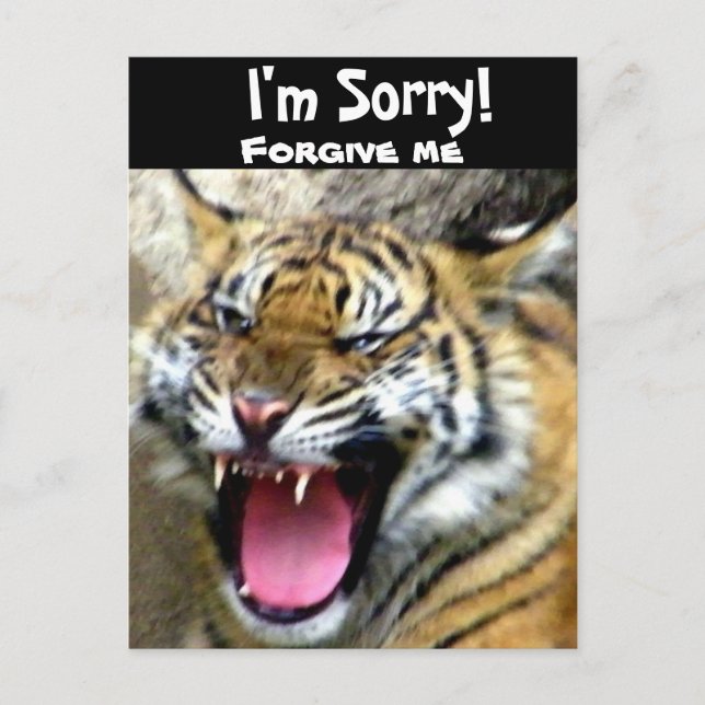 Carte Postale Hey_ (Devant)