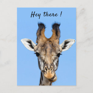 Carte Postale Hey là drôle Giraffe photo avec texte