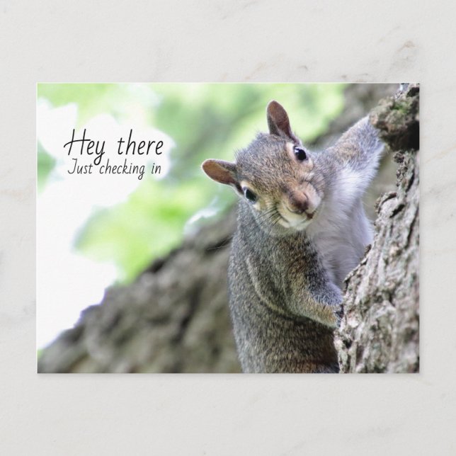 Carte postale Hey There, Just Checking In  (Devant)