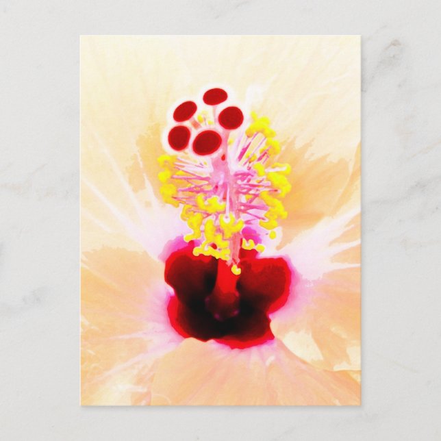 Carte Postale Hibiscus (Devant)