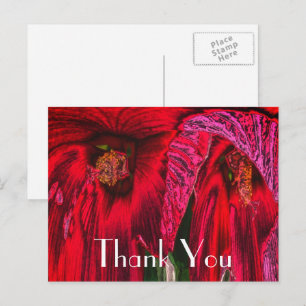 Carte postale Hibiscus Abstrait Merci floral rouge