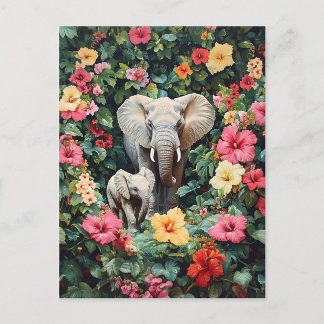 Carte Postale Hibiscus des éléphants et du veau (Devant)
