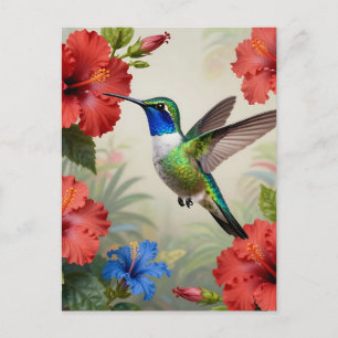 Carte Postale Hibiscus floral vibrant colibri