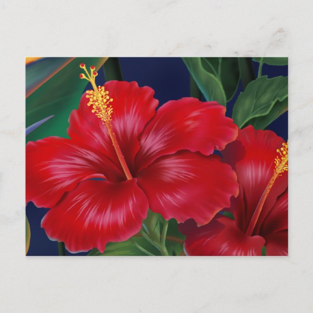 Carte postale Hibiscus Paradis tropical (Devant)