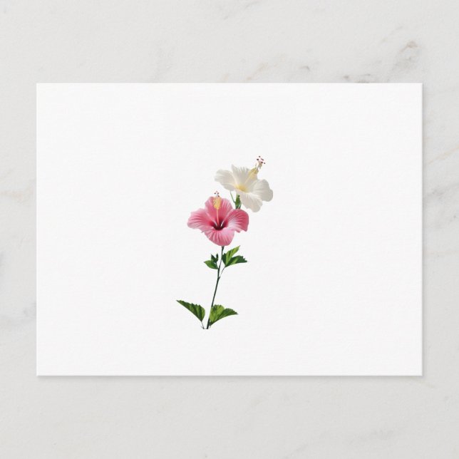 Carte Postale hibiscus, pink hibiscus, white hibiscus, dual flow (Devant)