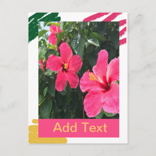 Carte Postale Hibiscus rose