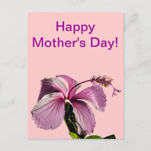 Carte Postale Hibiscus rose Fleur Vue de la fête des mères