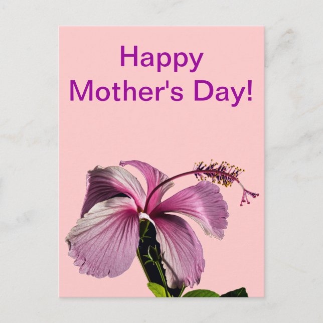 Carte Postale Hibiscus rose Fleur Vue de la fête des mères (Devant)