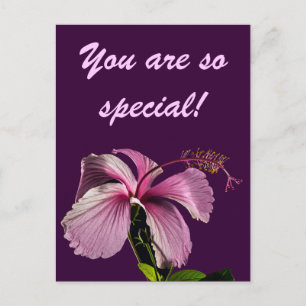 Carte Postale Hibiscus rose Vue latérale