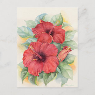Carte Postale Hibiscus rouge Floral Tropical Aquarelle Art