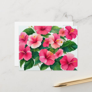 Carte Postale Hibiscus Tropical Hawaii Rose Et Blanc