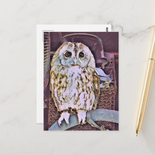 CARTE POSTALE HIBOU