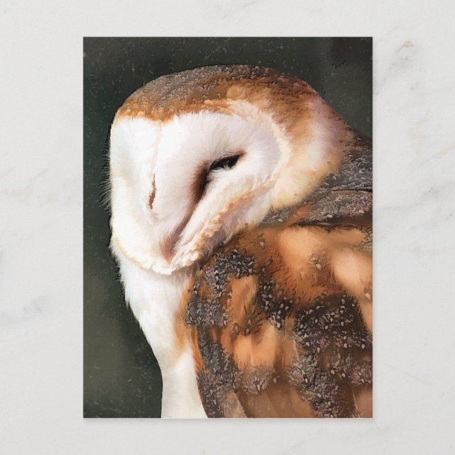 CARTE POSTALE HIBOU (Devant)